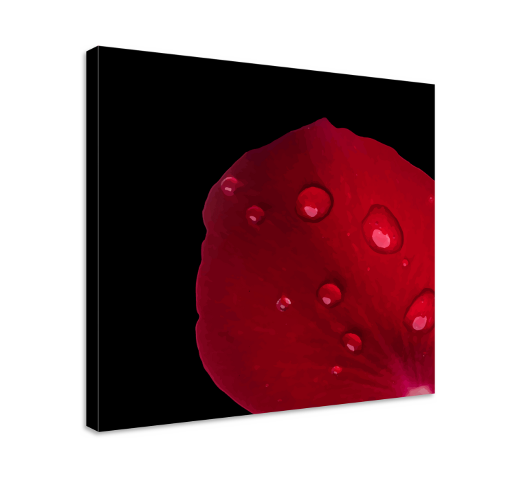 Tablou flori şi plante detaliu petale de trandafir - TenStickers