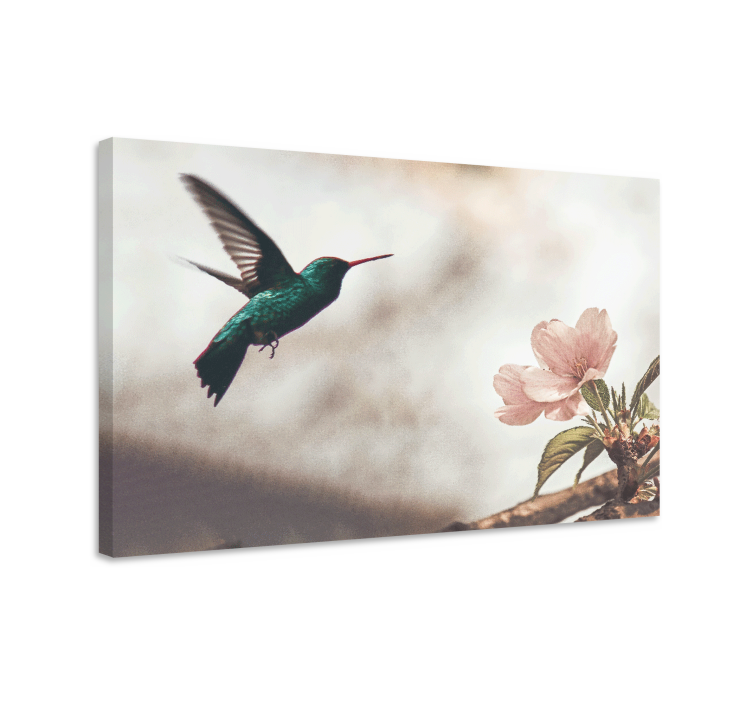 Tablou păsări colibri și flori - TenStickers
