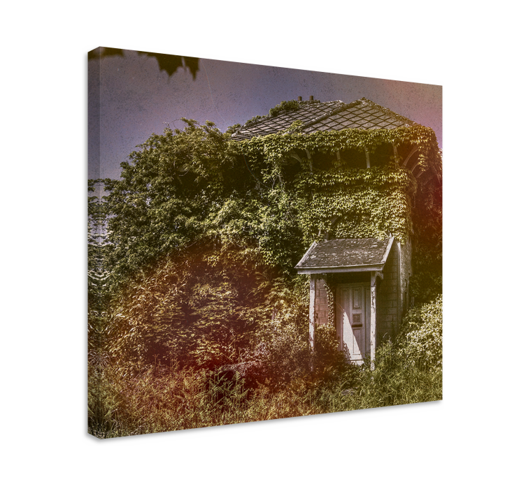 Tablou rustic cabana rustică abandonată - TenStickers