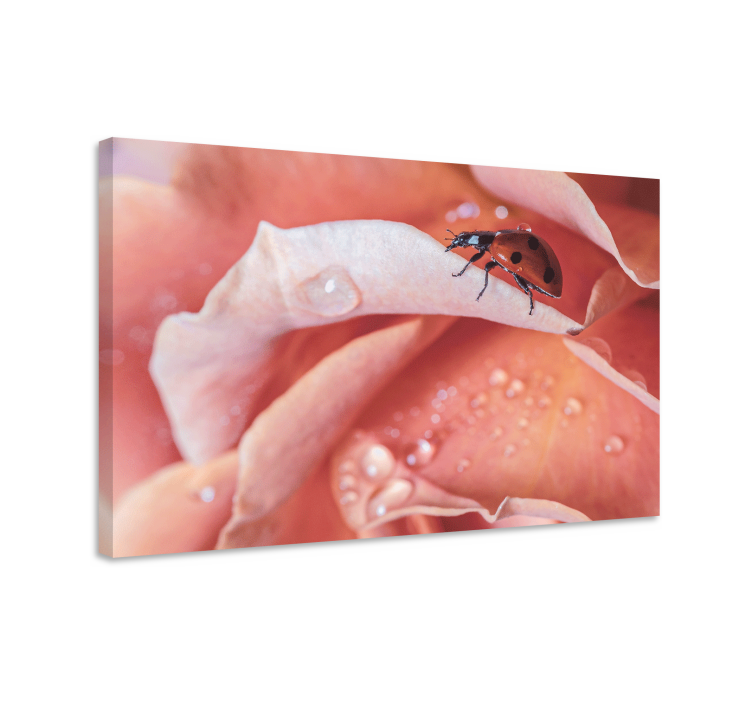 Tablou flori şi plante buburuză pe trandafir - TenStickers