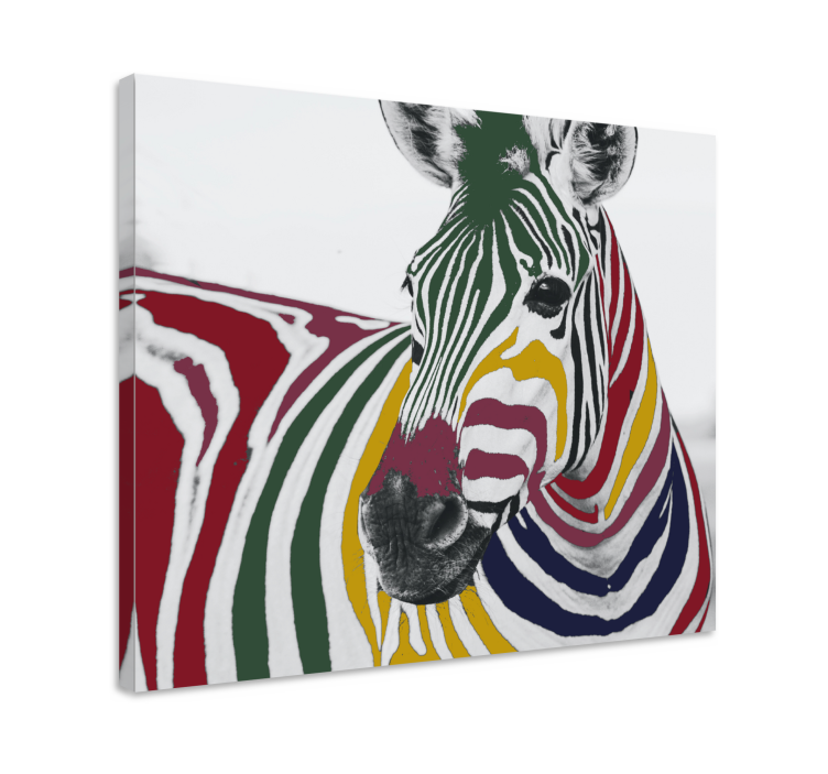 Tablou animale portret colorat de zebra - TenStickers