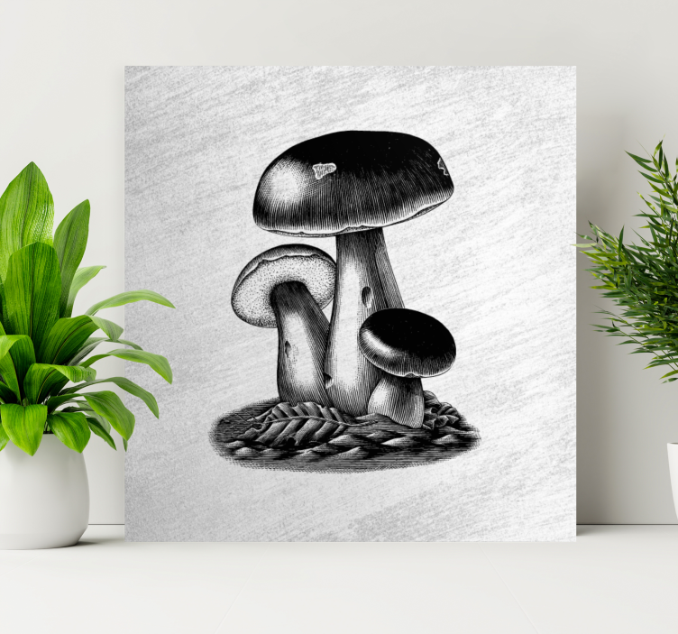 Gravură antică a ciupercilor imprimeu de bucătărie - TenStickers