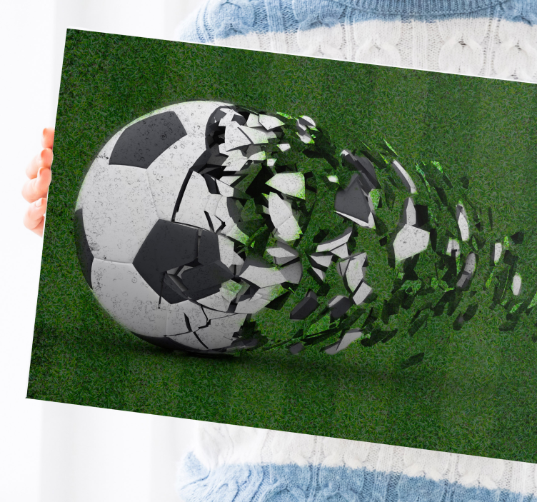 Imprimeuri pe pânză pentru teren de fotbal - TenStickers