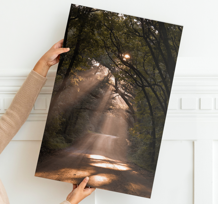 Tablou peisaje poteca pădurii însorite - TenStickers