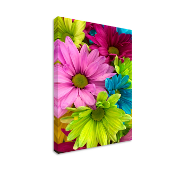 Panza cu flori colorate - TenStickers