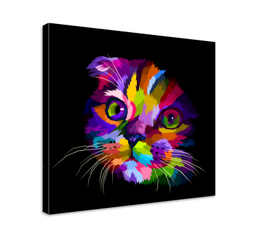 Pânză pictată curcubeu pisică curcubeu - TenStickers