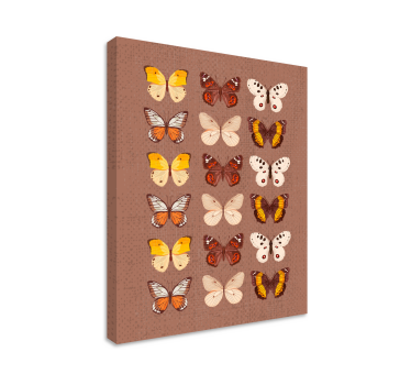Fluturi vintage printuri de perete vintage - TenStickers