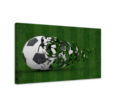 Imprimeuri pe pânză pentru teren de fotbal - TenStickers