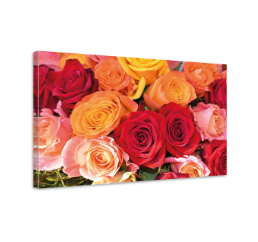 Pânză florală trandafiri roșii și roz portocalii - TenStickers