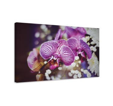 Orhidee mov cu panza florala - TenStickers