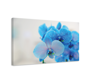Pânză florală orhidee albastră - TenStickers