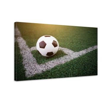Fotbal frumos pe iarbă amprente de pânză de acasă - TenStickers