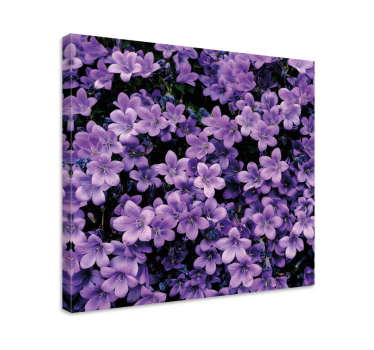 Flori violete vagi panza florala - TenStickers