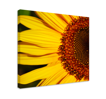 Jumătate pânză florală de floarea soarelui - TenStickers