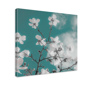 O frumoasă pânză florală cu cer albastru însorit - TenStickers