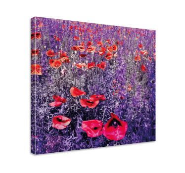 Pânză florală de mac și câmp lavandă - TenStickers