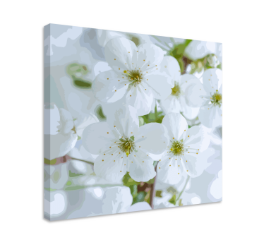 Culori pastel albe petale frumoase panza florala - TenStickers