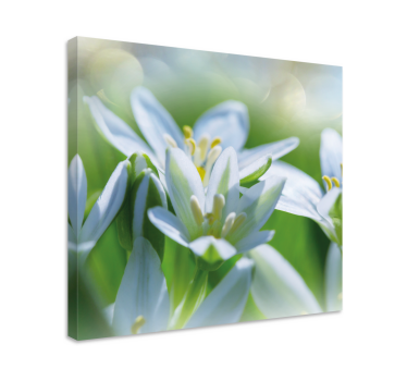 Luncă de ghiocei magnifici pânză florală - TenStickers
