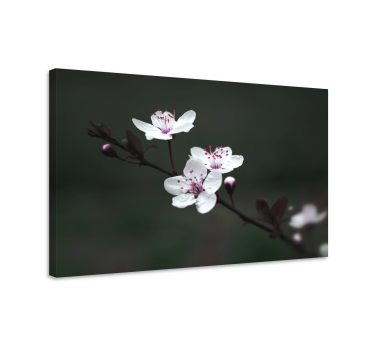 Panza florala eleganta feminina cu flori de cires - TenStickers