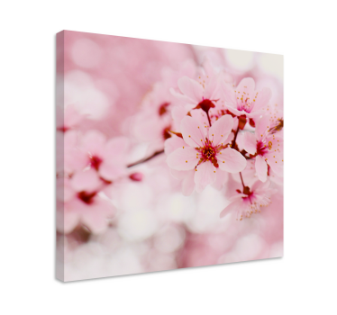 Roz floare fotografie artă floral pânză - TenStickers