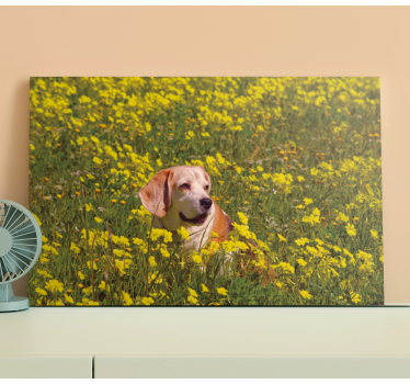 Câine așezat în flori pânză florală - TenStickers