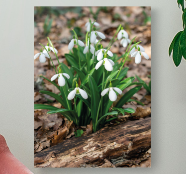 Ghiocei padure design peisaj panza florala - TenStickers