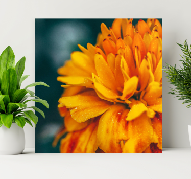 Tablou flori floare de portocal vibrantă - TenStickers