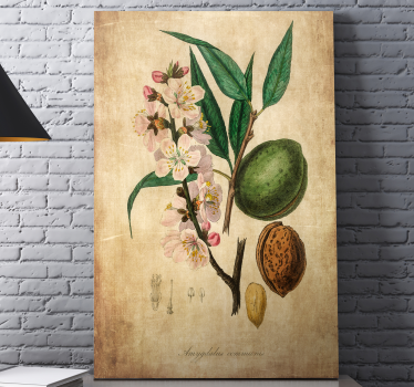 Tablou flori şi plante ilustrație botanică - TenStickers