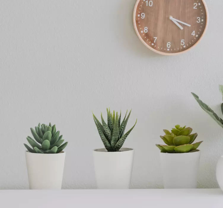 3d cactus ghiveci autocolante murale - TenStickers