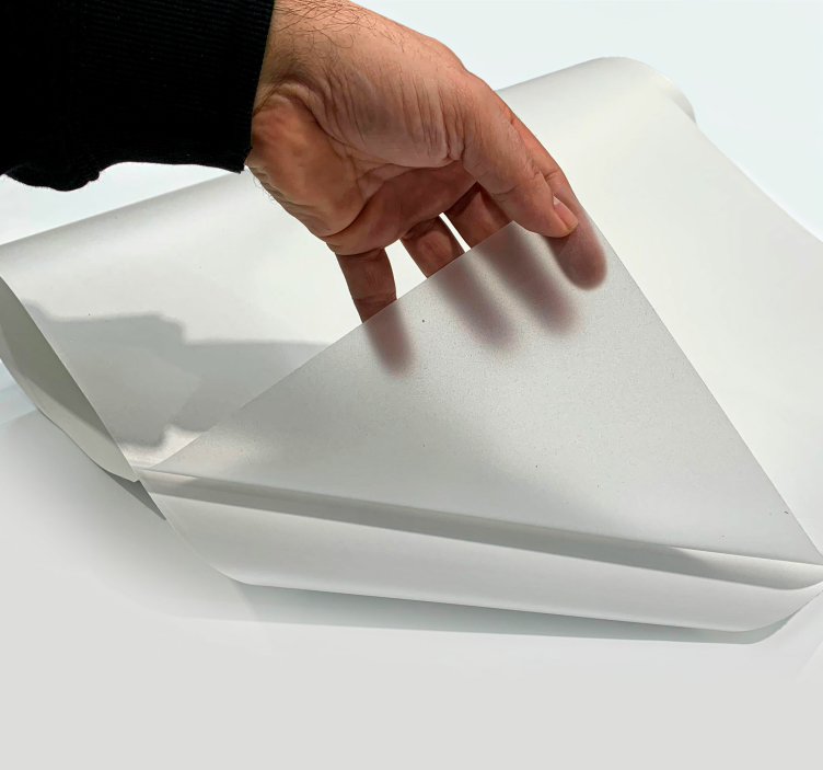 Autocolante pentru ferestre și sticlă translucid bazic - TenStickers