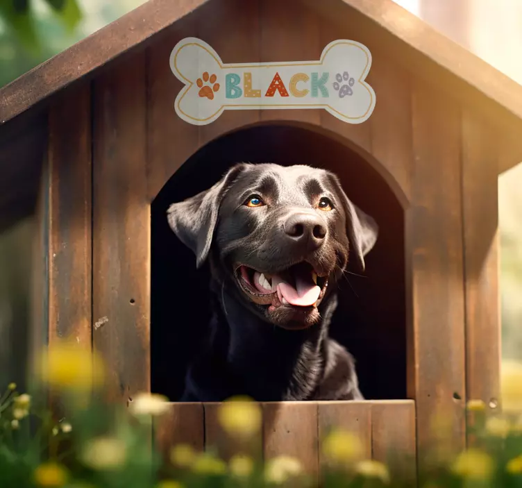 Autocolante de perete casa câinelui - TenStickers