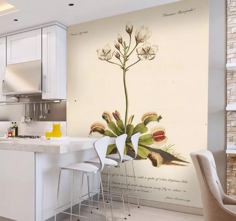 Autocolant de flori vechi de botanică - TenStickers