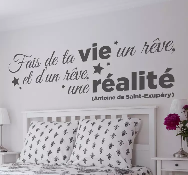 Autocolante de perete vinil vie realite exupery fr - TenStickers