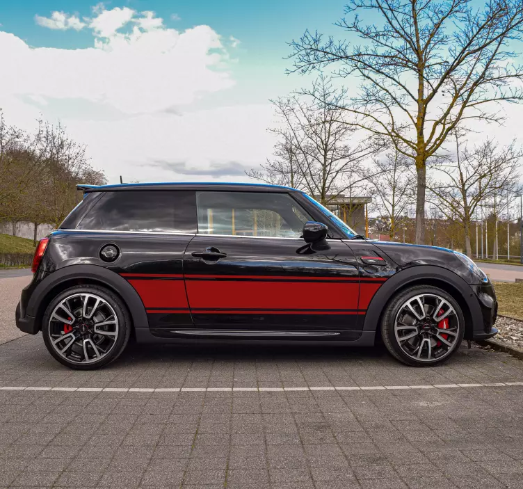 Autocolant de vinil auto personalizat raliu - TenStickers