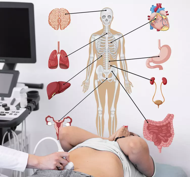 Infografie medicală decal perete - TenStickers