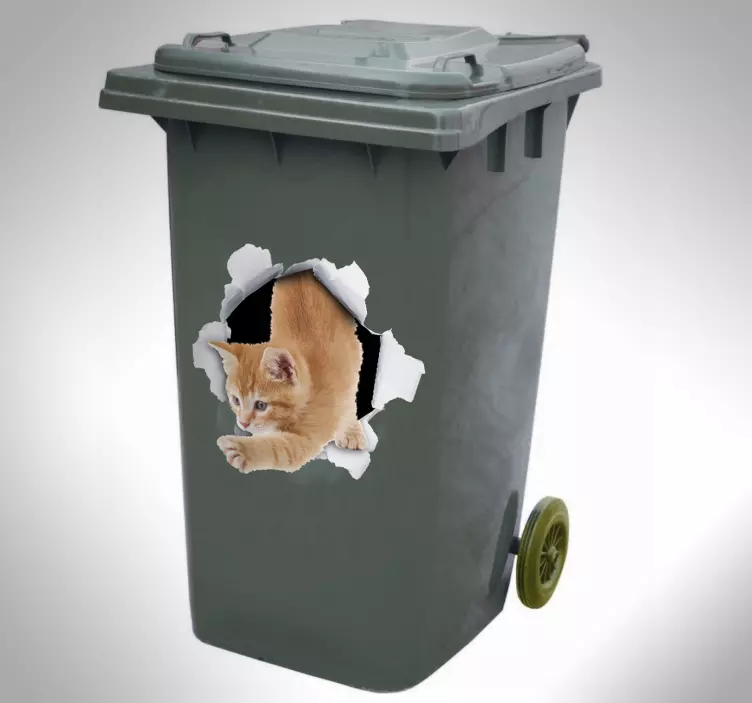 Pisica trompe l'oeil decal container - TenStickers