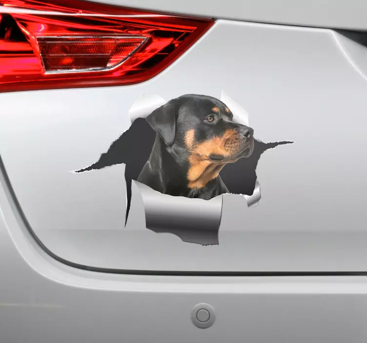 Rottweiller hole sticker autocolant pentru animale de companie - TenStickers