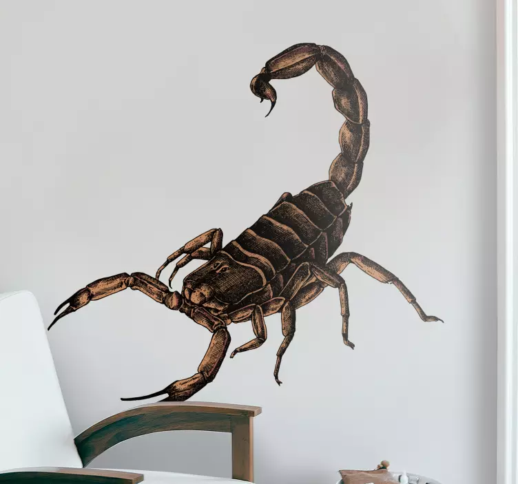 Scorpion ilustrare autocolant de insecte - TenStickers
