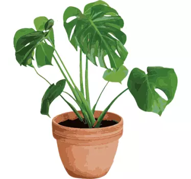 Plante oală decorative de perete autocolant - TenStickers