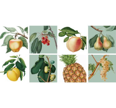 Autocolant de perete cu fructe în creștere - TenStickers