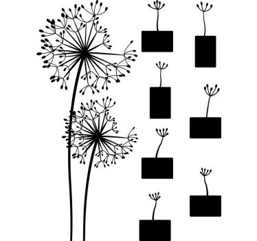 Dandelion poze decal perete flori - TenStickers
