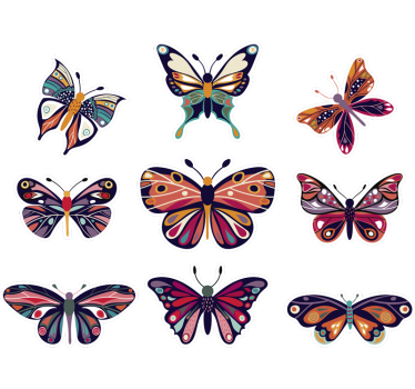 Fluturi decorare fereastră decorare fereastră - TenStickers