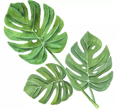 Monstera acuarela frunze plante perete autocolant - TenStickers