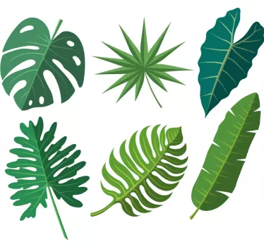 Monștri frunze și flori tropicale plante decor de perete - TenStickers
