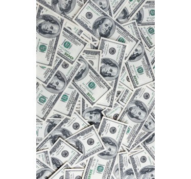 Decalcomanii frigider facturi dolar - TenStickers
