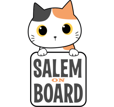 Pisică drăguță la bord cu autocolant cu nume de mașină - TenStickers