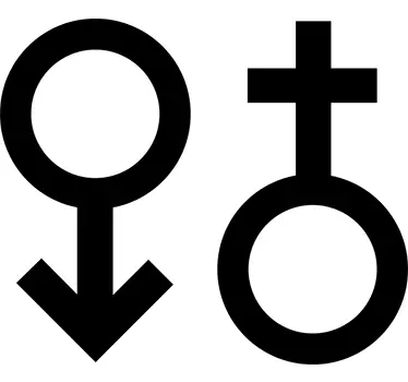 Mascã și feminin simbol de perete simbol - TenStickers
