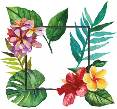 Cadran tropical decal cadru - TenStickers