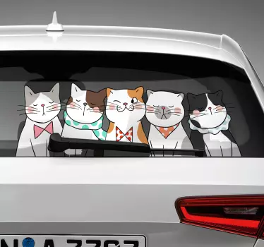 Pisica care zboară autoturismul - TenStickers