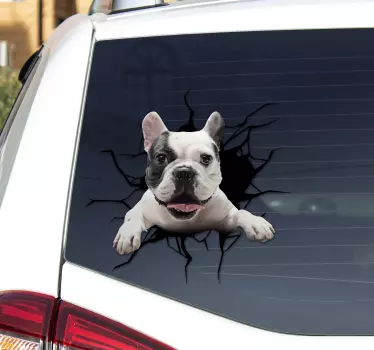 Autocolante de perete cu pisici și câini câine de sticlă - TenStickers